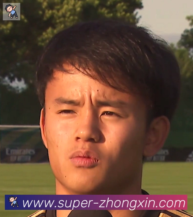 维尼修斯